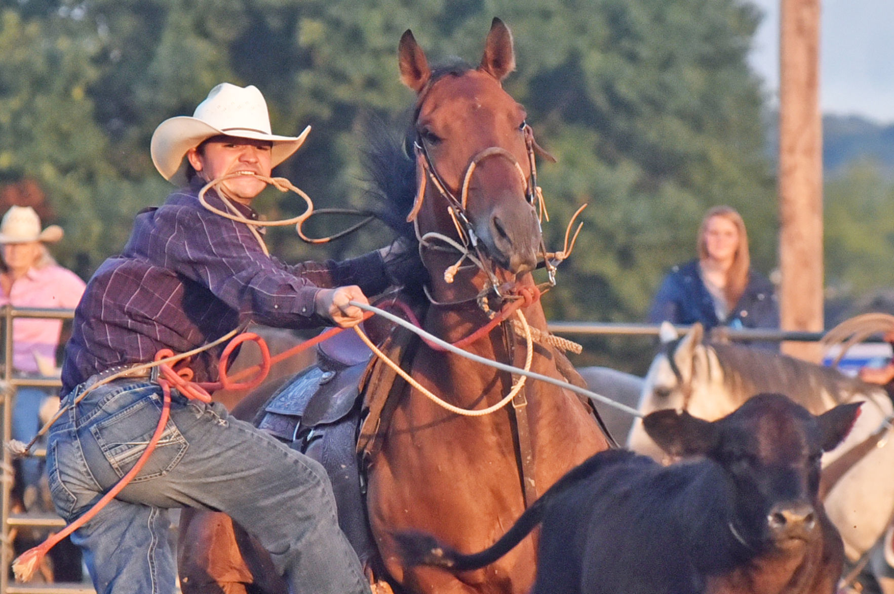 Rodeo